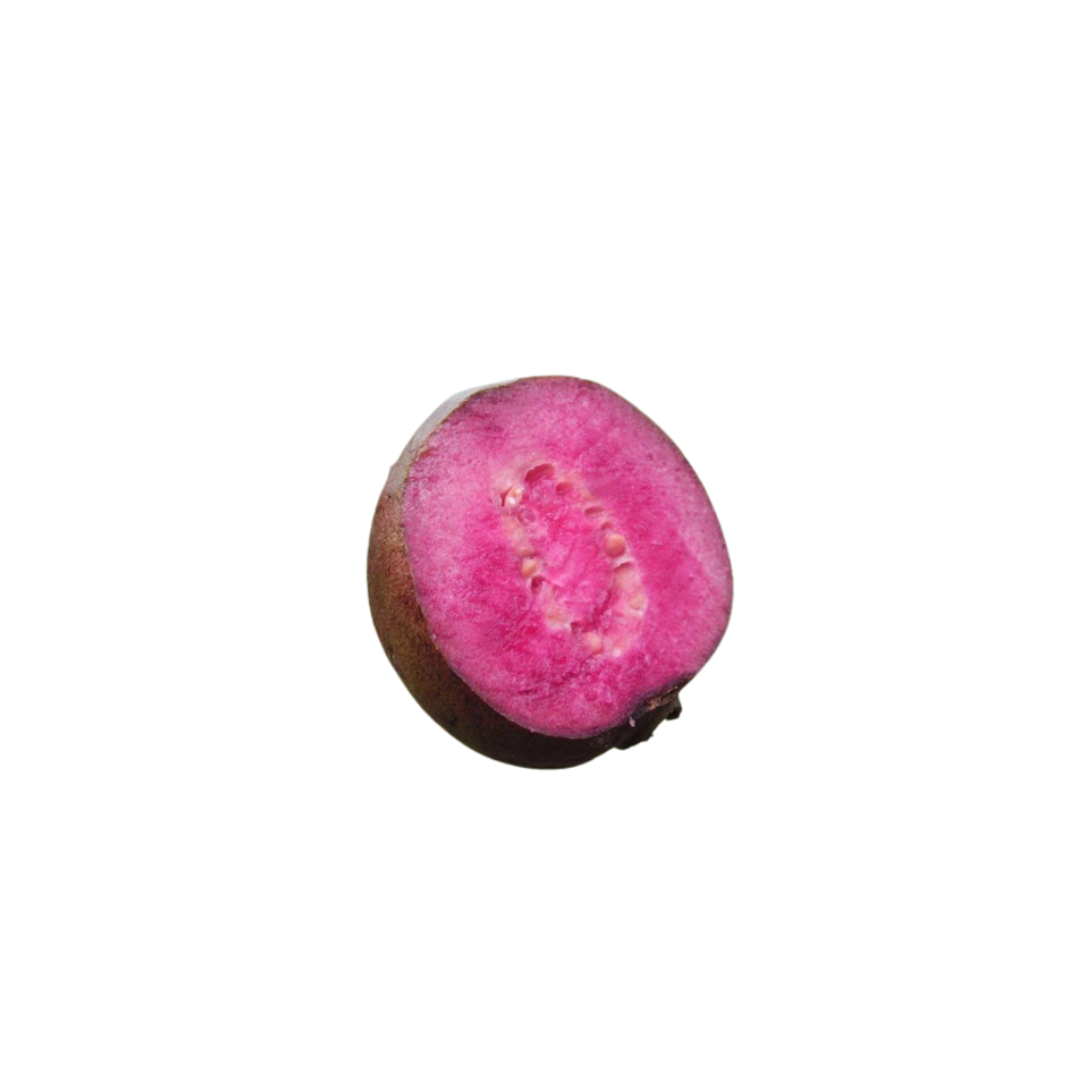 Muda de Goiaba Roxa