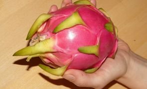 muda de pitaya