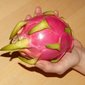 muda de pitaya