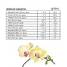 fertilizante forth orquideas 500ml bula