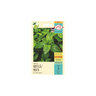 sementes de hortelamenta 90mg isla