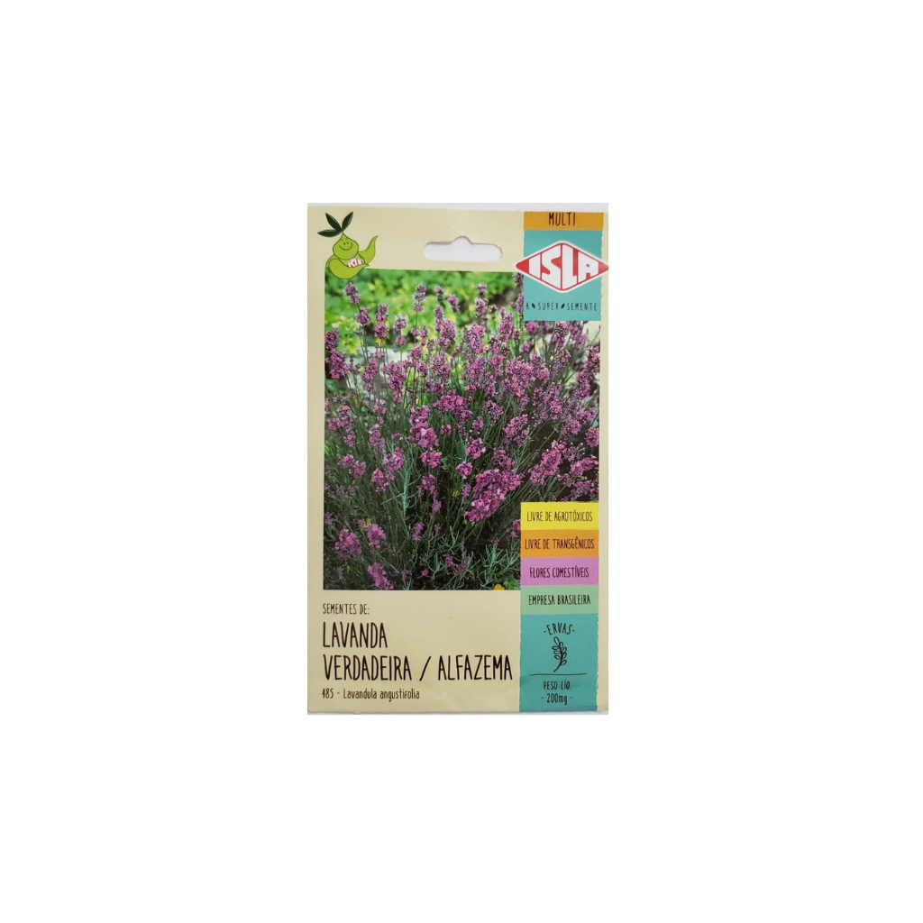 Sementes de Lavanda Verdadeira/Alfazema