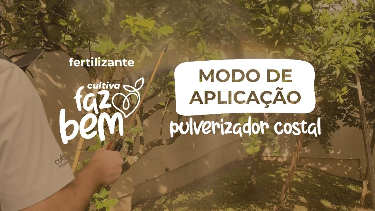 fazbem3