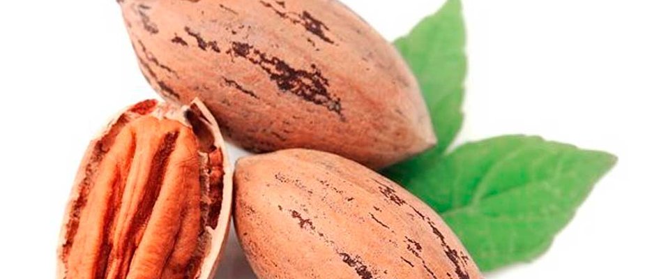 Como aclimatar árvores de noz-pecã