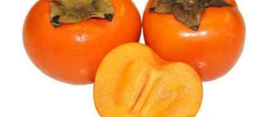 Passo a passo de como cultivar caqui