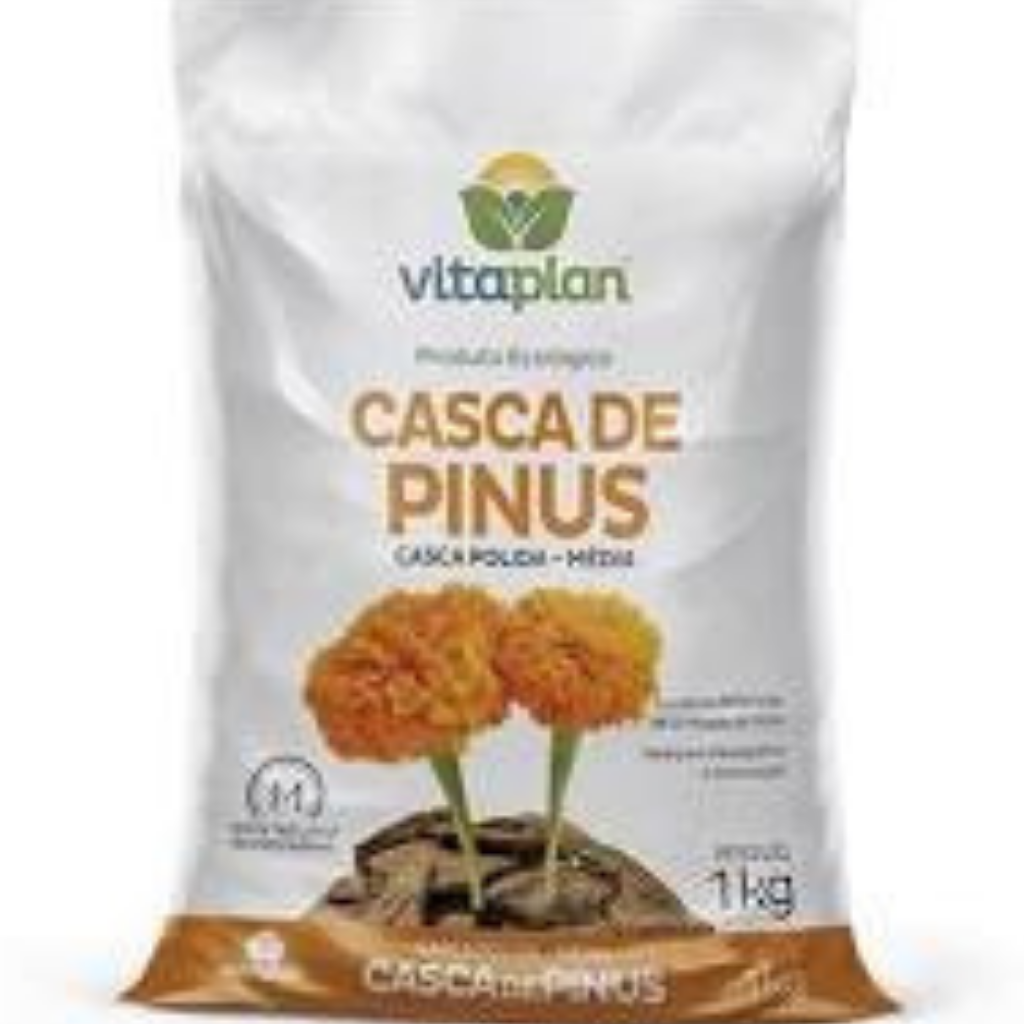 Casca de Pinus Média