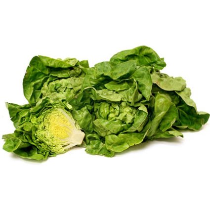 alface boston branca