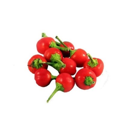 pimenta tupa bode vermelha