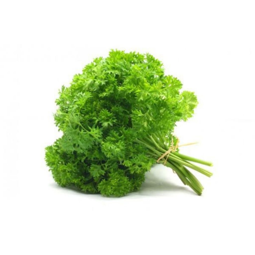 Sementes de Salsa Crespa