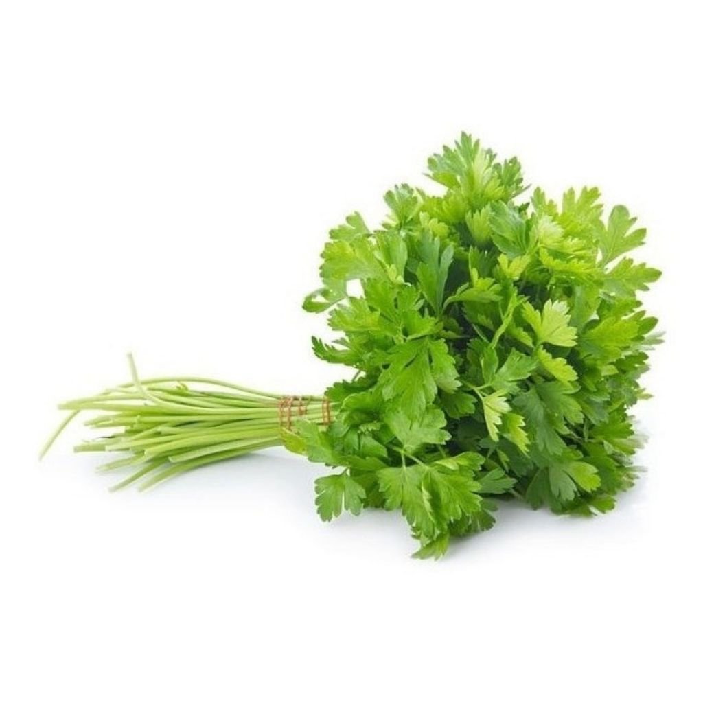 Sementes de Salsa Graúda Portuguesa