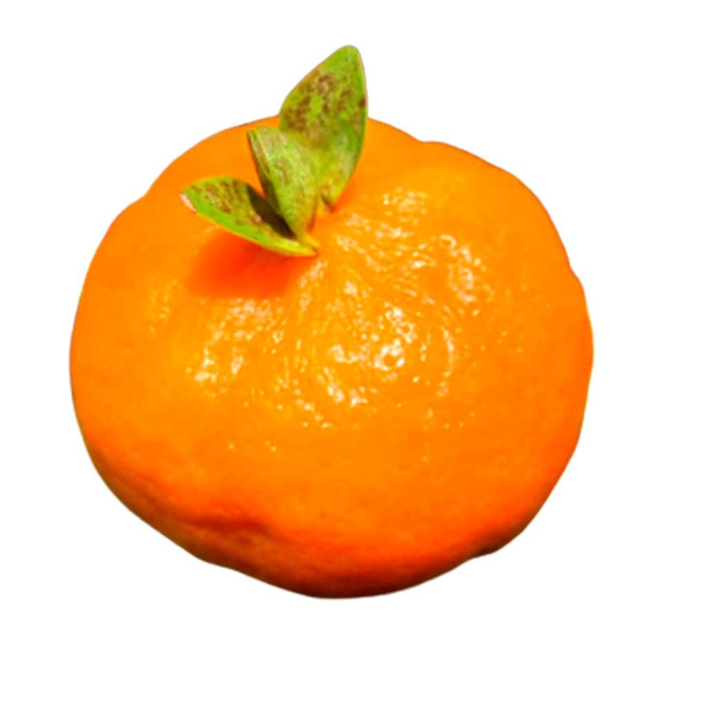 Laranjinha do Mato Pequeno