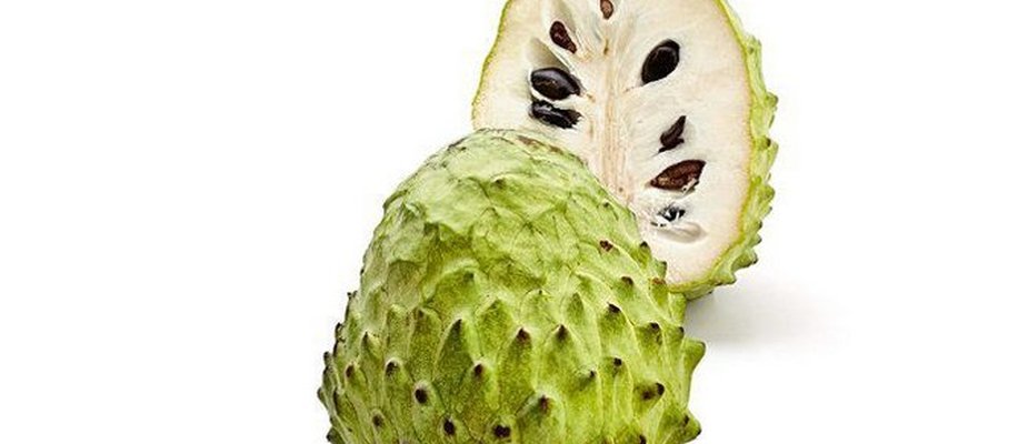 COMO PLANTAR ATEMÓIA
