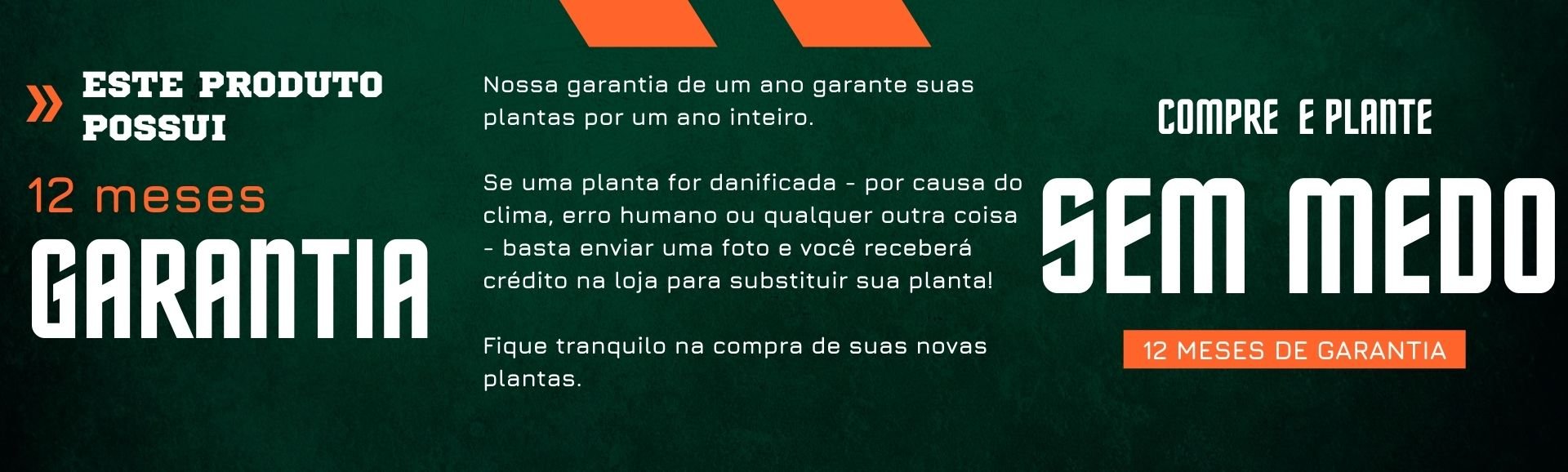 Garantia 12 meses Mondini Plantas