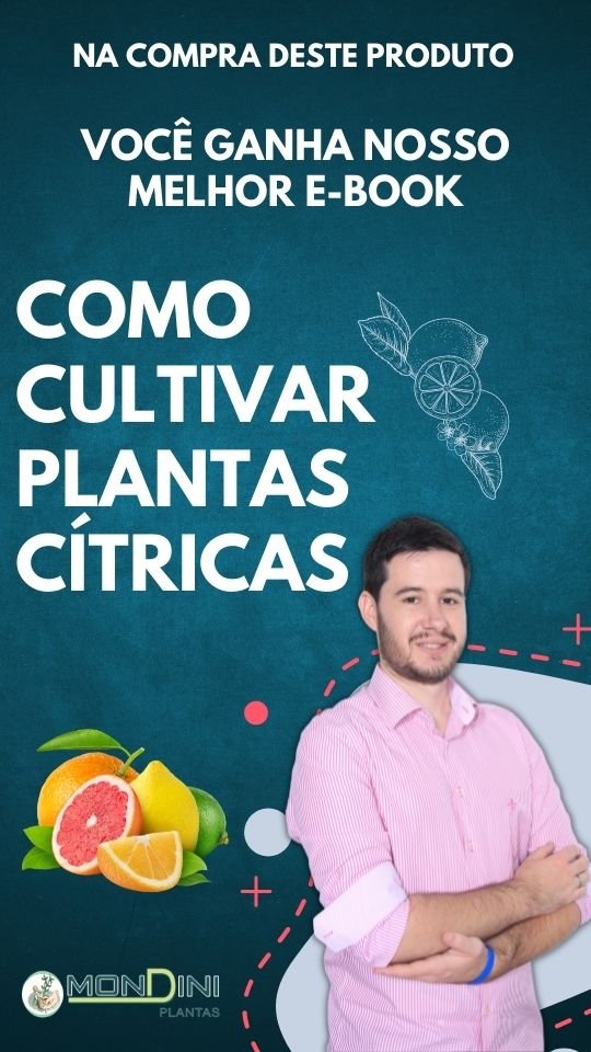 e-book como cultivar plantas cítricas