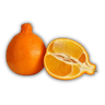 muda de tangelo minneola enxertada