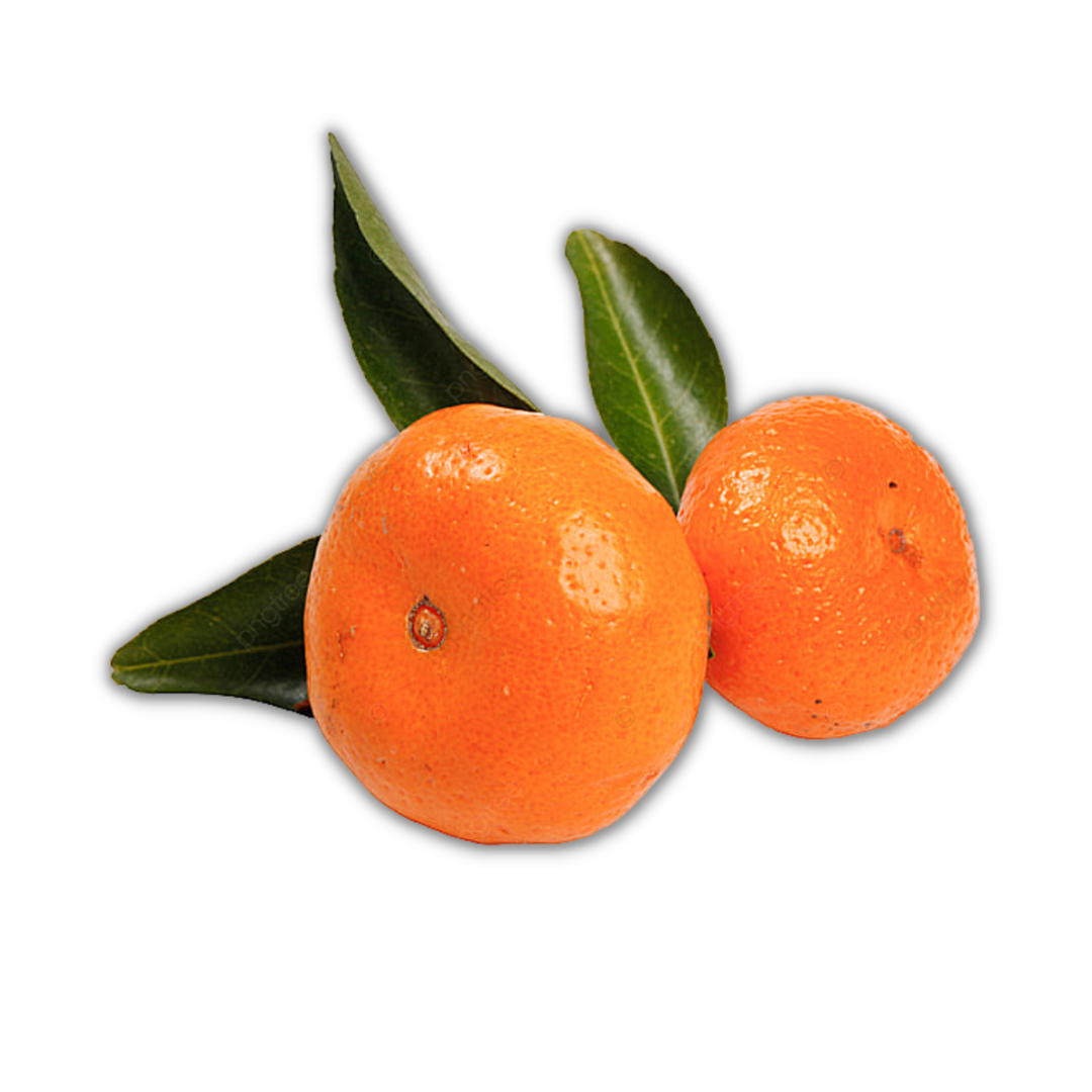 Tangerina Miyagawa Enxertada