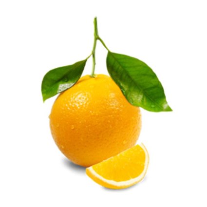 Muda de Laranja Folha Murcha Mondini Plantas