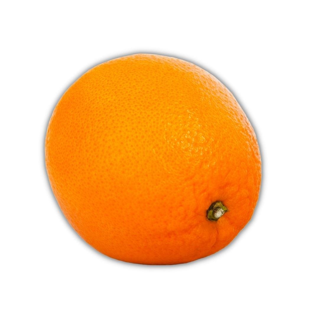 Muda de Laranja Sorocaba Enxertada
