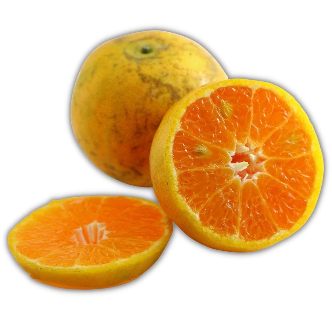 Tangerina Owari Enxertada