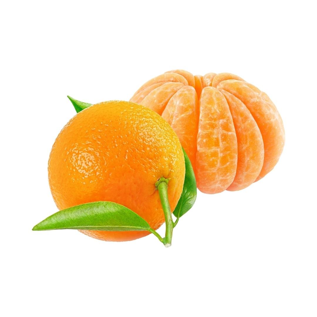 Muda de Tangerina Nova Enxertada