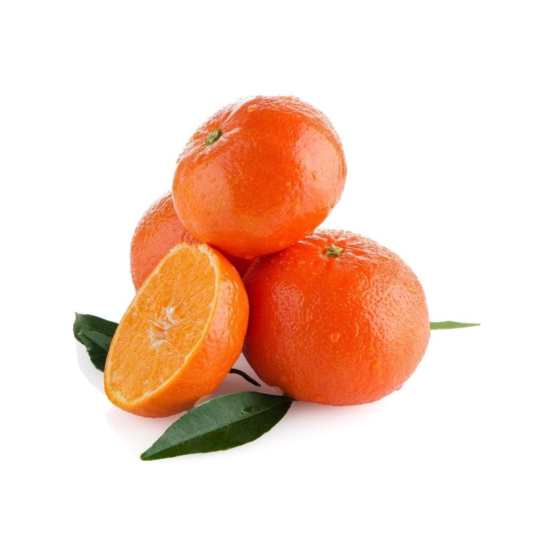 Muda de Tangerina Ortanique Enxertada