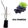 Muda de Uva Francesa Enxertada