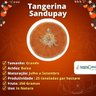 Muda de Tangerina Sandupay Enxertada
