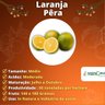 Muda de Laranja Pera Enxertada