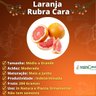 Muda de Laranja Rubra Cara Enxertada