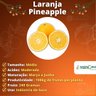 Muda de Laranja Pineapple Enxertada