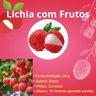 lichia com frutos