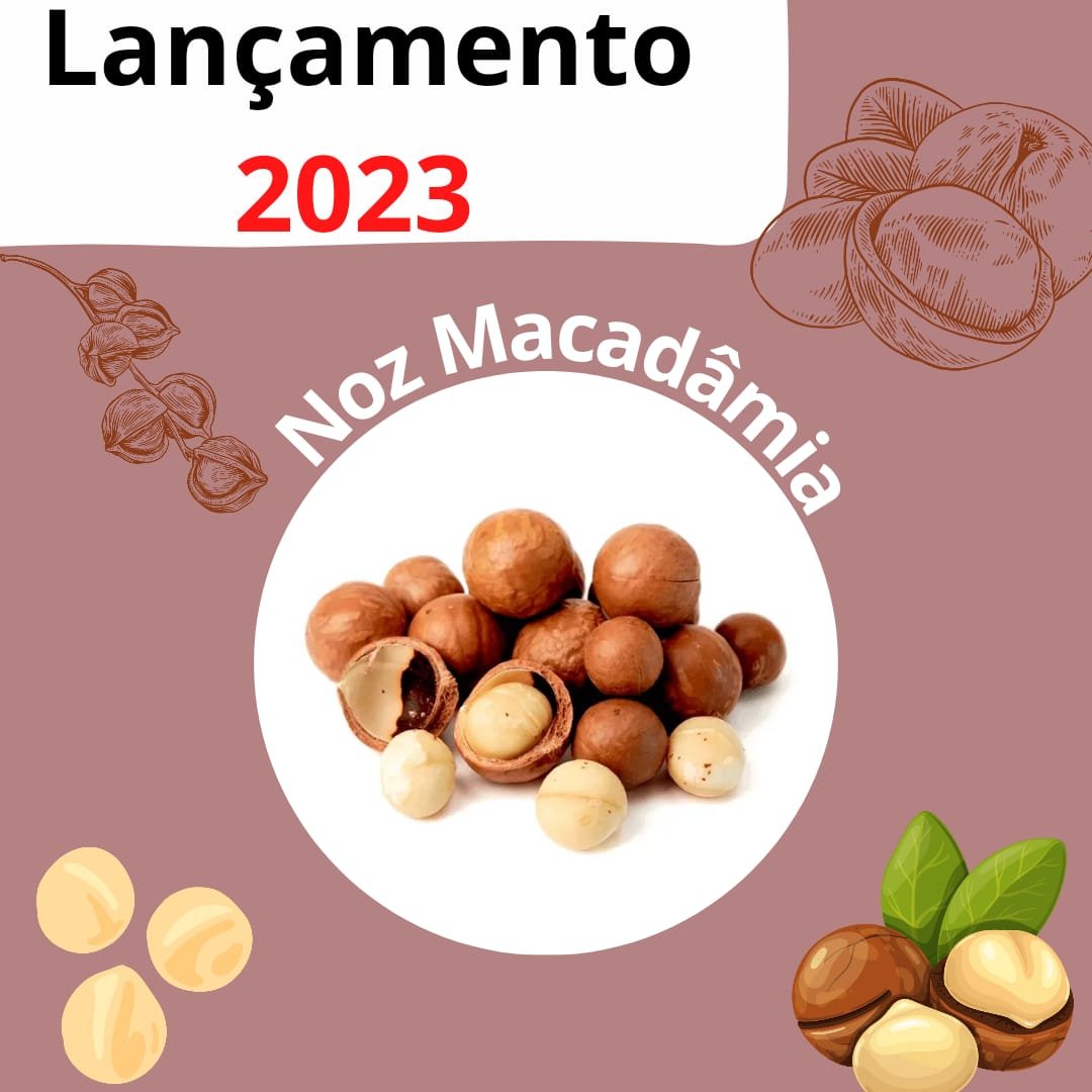 Muda de Noz Macadâmia pequena