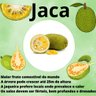 jaca capa