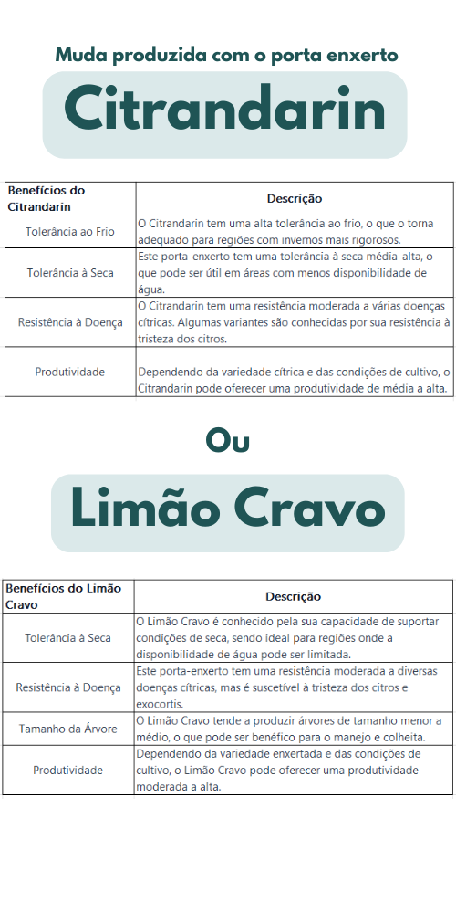 ou 1