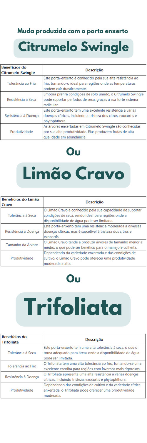 ou 1000 3000 px