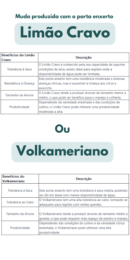 ou