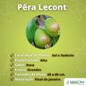 Muda de Pera Lecont Enxertada Mondini Plantas Muda de Pera Lecont Enxertada Mondini Plantas