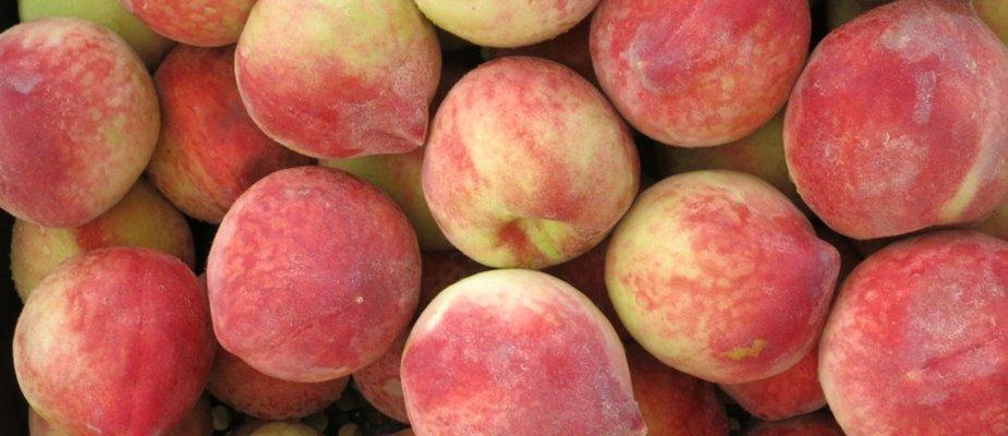 Como Cultivar Muda de Pêssego Chimarrita