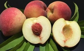 18 1
