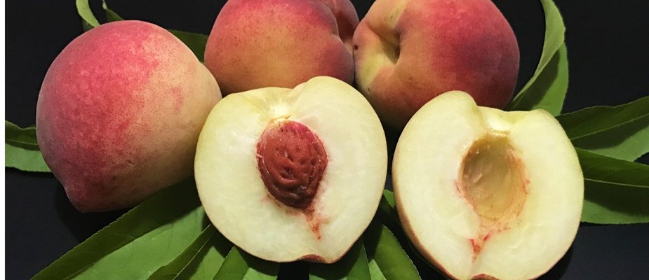 Como Cultivar Muda de Pêssego Eragil Enxertada