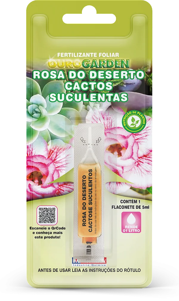 Rosa do Deserto, Cactos e Suculentas Monodose