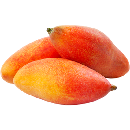 Muda de Manga Espada da Mondini Plantas