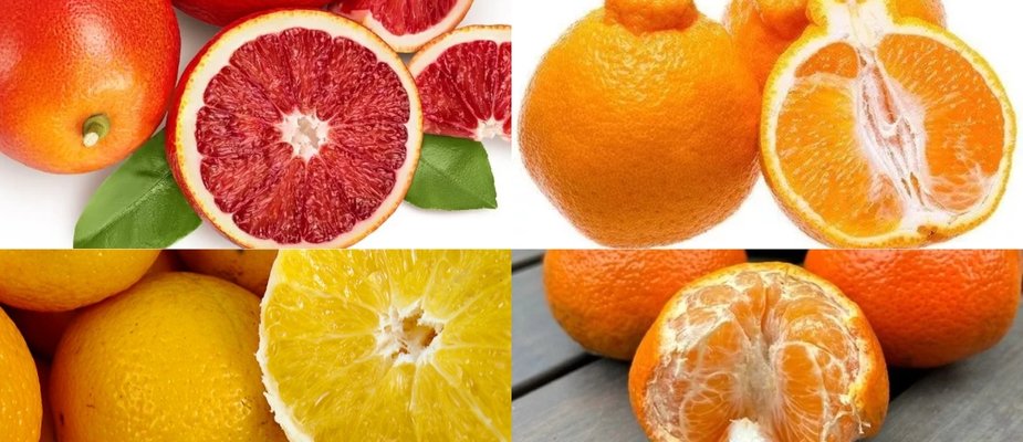 Transforme seu Espaço com as Top 5 Mudas Frutíferas da Mondini Transforme seu Espaço com as Top 5 Mudas Frutíferas da Mondini