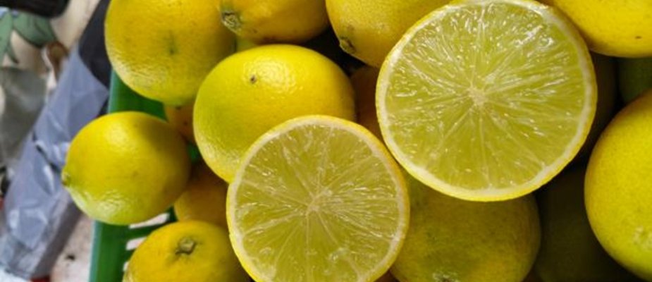 Como Cultivar Muda de Limão Galego Enxertada Como Cultivar Muda de Limão Galego Enxertada
