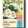 camomila verdadeira
