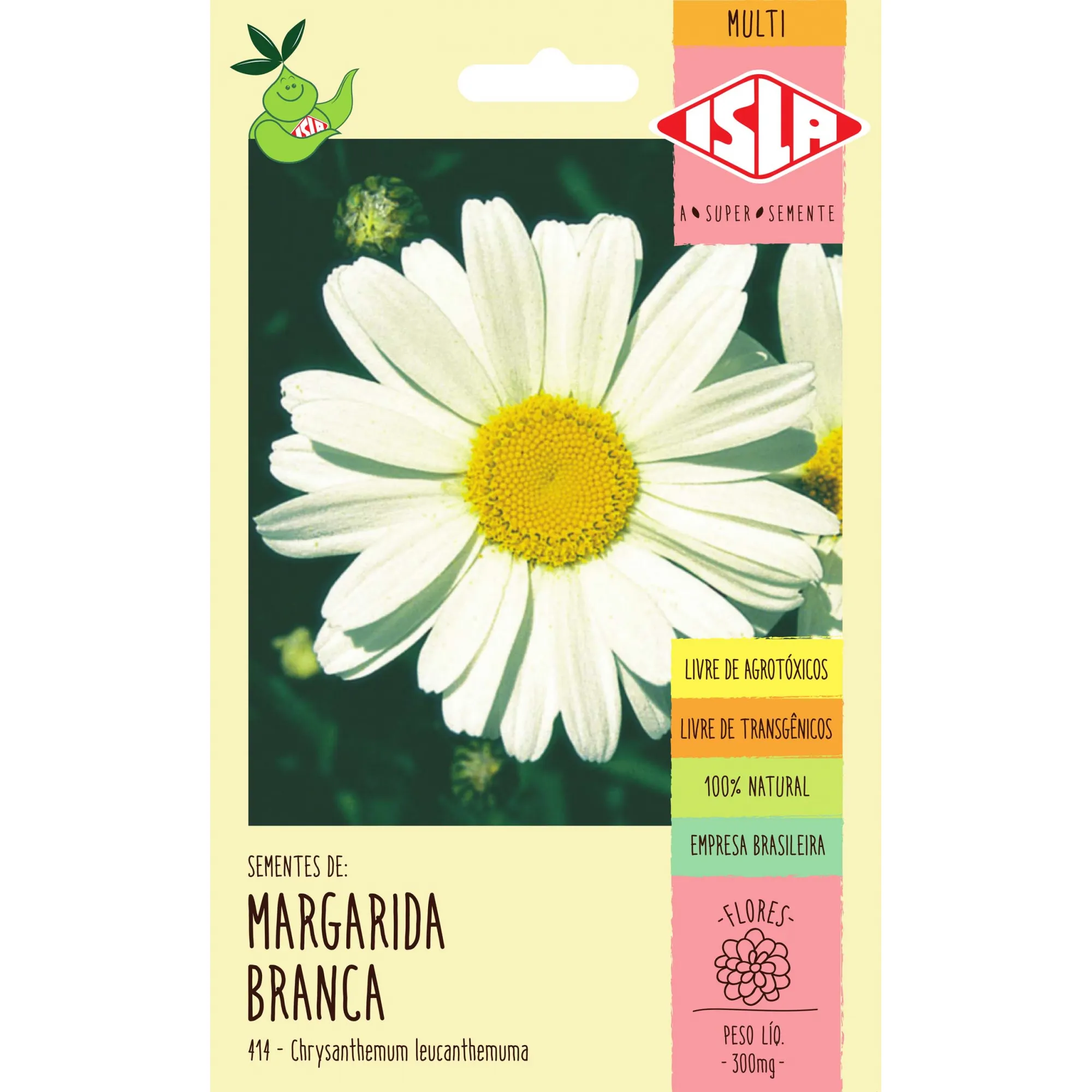 Semente de Margarida Branca