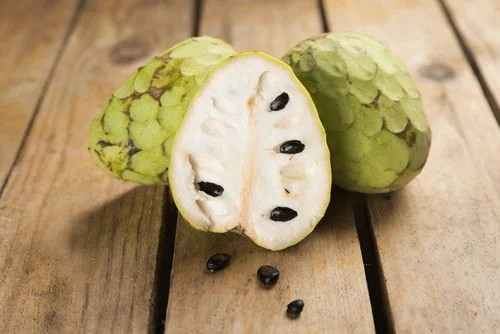 Muda de Cherimoia Enxertada