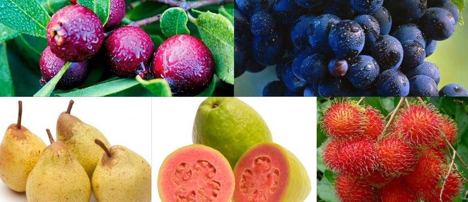As 5 mudas frutíferas que todo jardim precisa ter As 5 mudas frutíferas que todo jardim precisa ter