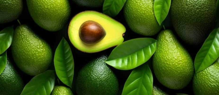Como Cultivar Muda de Abacate Margarida Enxertada
