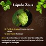 Muda de Lúpulo Zeus Mondini Plantas
